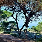 شقة Calarossa Sardegna Casarosa *