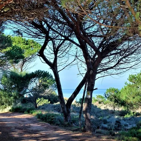 شقة Calarossa Sardegna Casarosa *